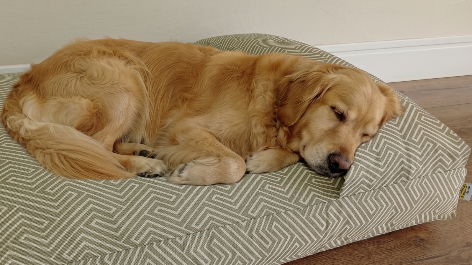 Melhor cama para Golden Retriever