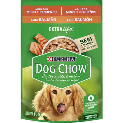 Dog show adulto clearance