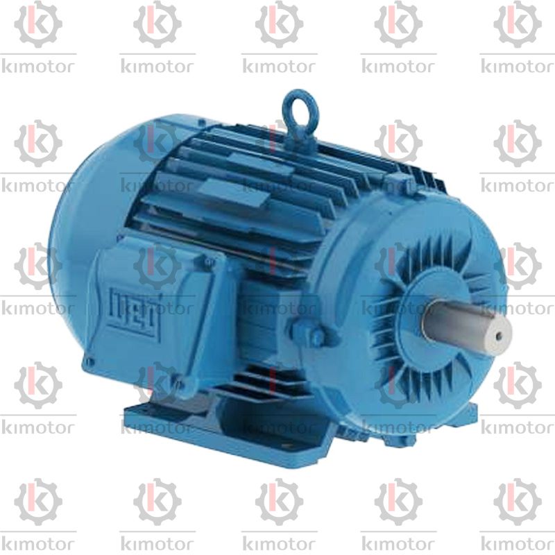 Motor WEG Trifásico 4CV 4P IP55 220/380V Seminovo - KIMOTOR
