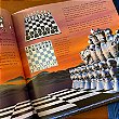 Livro: Aprenda Tudo Sobre o Xadrez - Daniel King