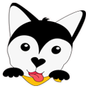 Logo de www.dogsballoon.com.br