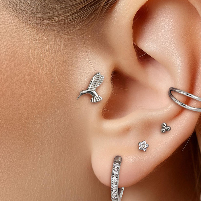 Guia dos Piercings de Tragus