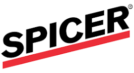 Dana Spicer