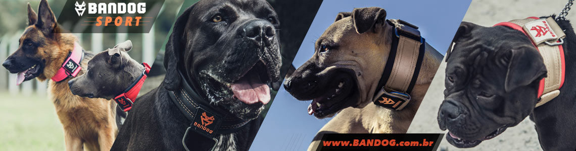 BANDOG - Coleiras e equipamentos para cães