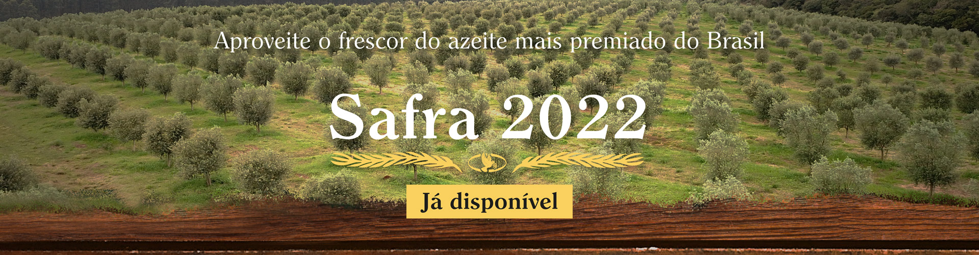 SAFRA_2022_disponível