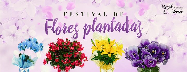 Festival de Plantados