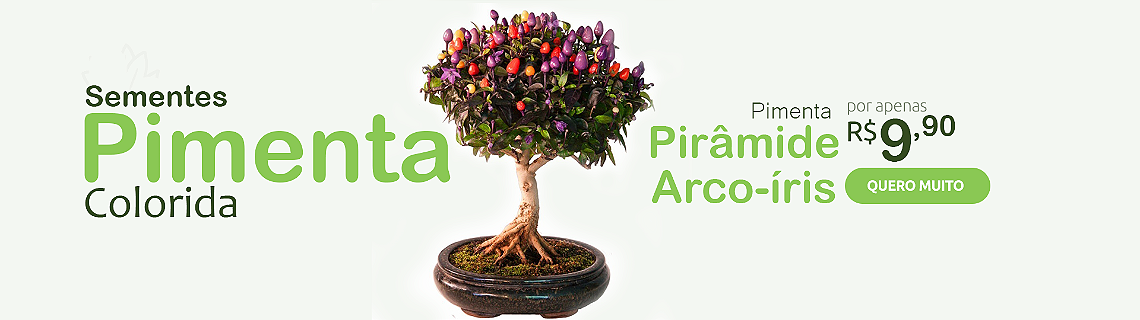Banner promoção Pimenta