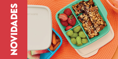 vitrine-mini NOVIDADE