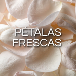 Banner Categoria 11 vitrine-lancamento