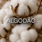 Banner Categoria 5 vitrine-lancamento