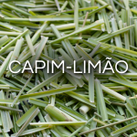 Banner Categoria 8 vitrine-lancamento