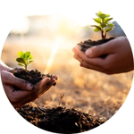 Categoria 6 vitrine-mas-vendido