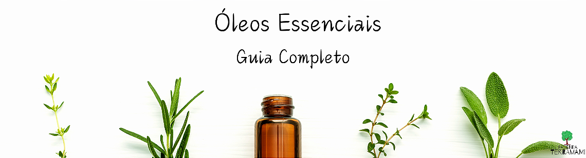 Guia OE