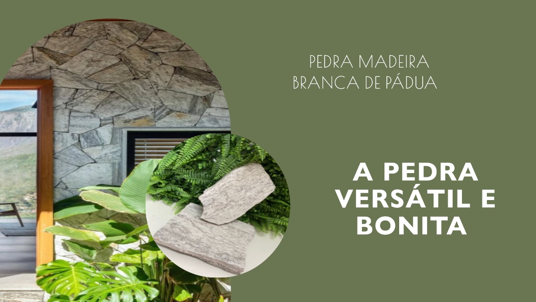 madeira branca de pádua