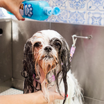 Banner Shampoo vitrine-mas-vendido