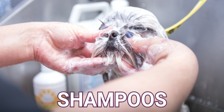 Mini 1 vitrine-mini mobile