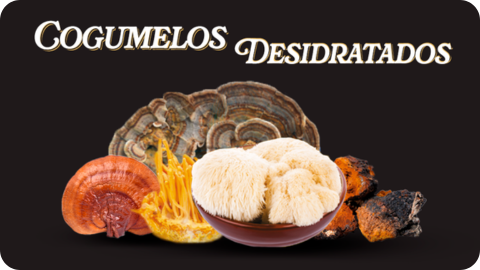 Banner Des vitrine-mini