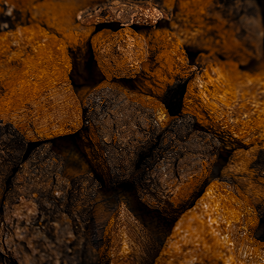 chaga vitrine-22542863