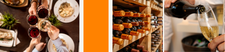 Vinhos e Espumantes
