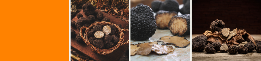 Trufas