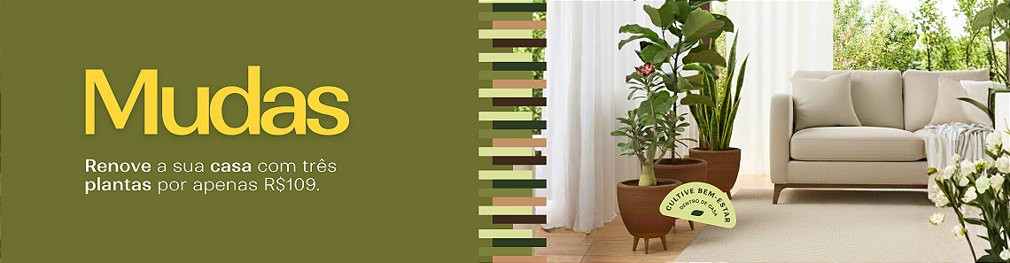 Campanha de Verão - Mudas