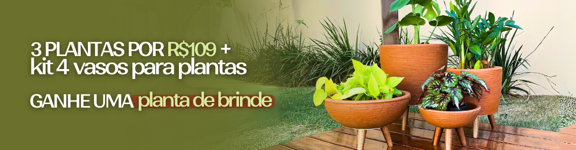 Kit 4 Vasos + 3 Plantas - Categoria de Vasos
