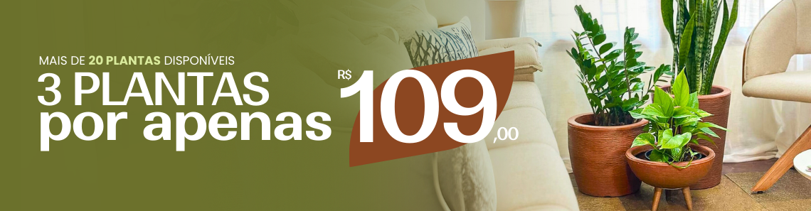 Divulgação da categoria 3 por R$109