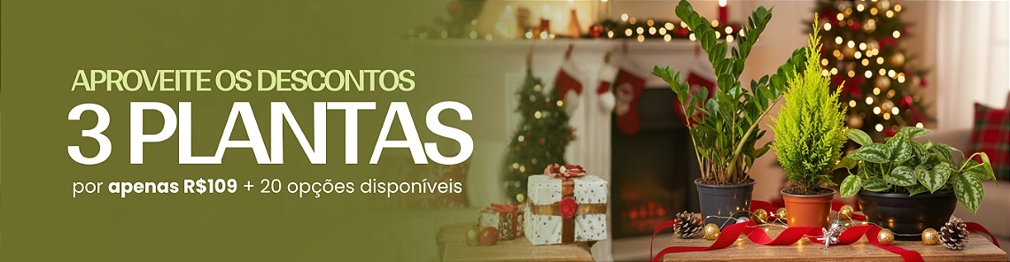 Final de Ano - Categoria de Mudas