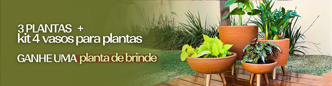 Kit 4 Vasos + 3 Plantas - Categoria de Vasos