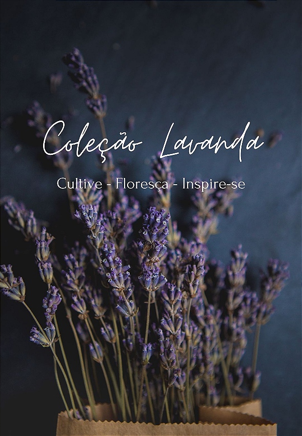 Coleção lavanda