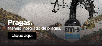 Mini pragas vitrine-mini mobile