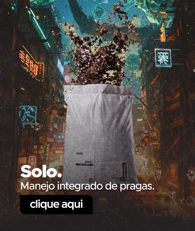 mini solo vitrine-mini