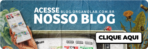 Blog vitrine-lancamento
