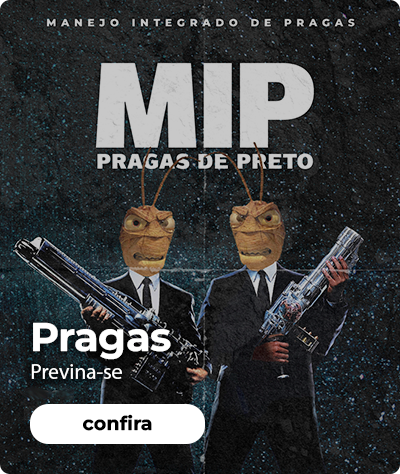 Mini pragas vitrine-mini