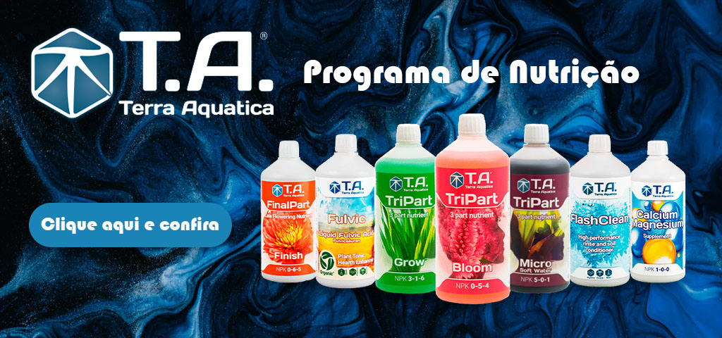 TA - Programa