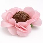 Categoria tons de rosa vitrine-lancamento