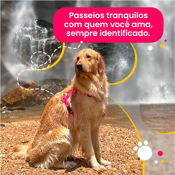 Banner Extra 3 vitrine-lancamento