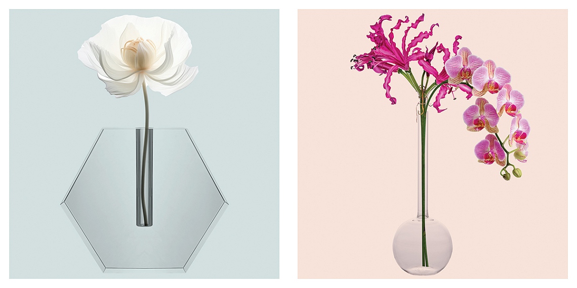 Vasos vitrine-15069773