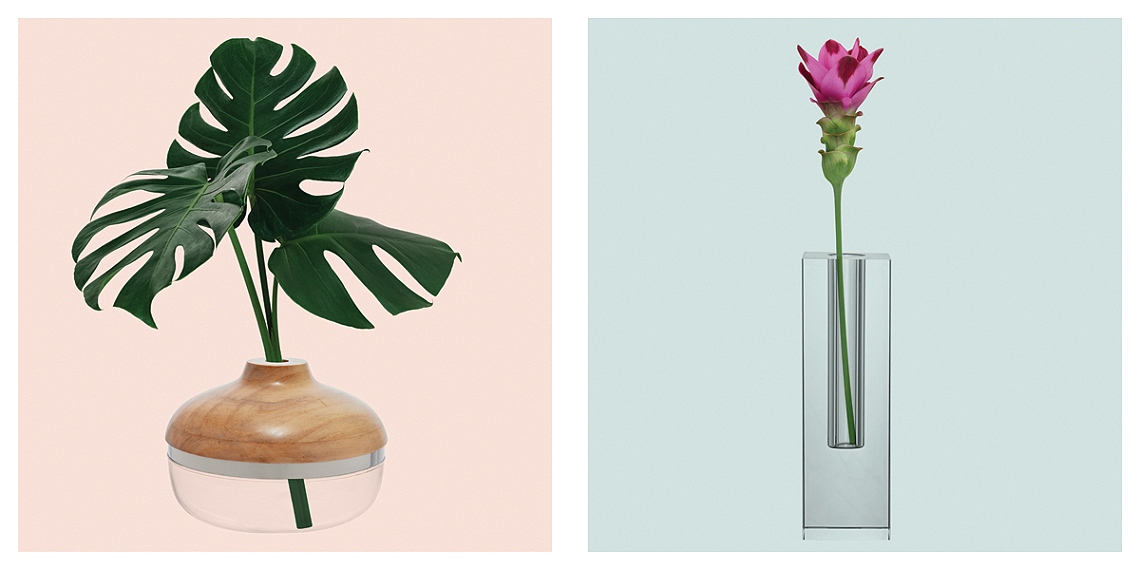 vasos 2 vitrine-15069773