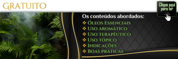 Modelo 3 - e-Book gratuito (Lado B) vitrine-18851338