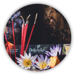 Faixa de Categorias - 5 vitrine-blog