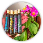 Faixa de Categorias - 2 vitrine-blog