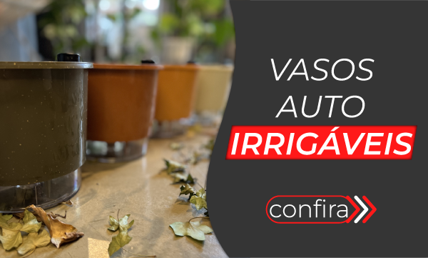 Vasos Raiz vitrine-lancamento