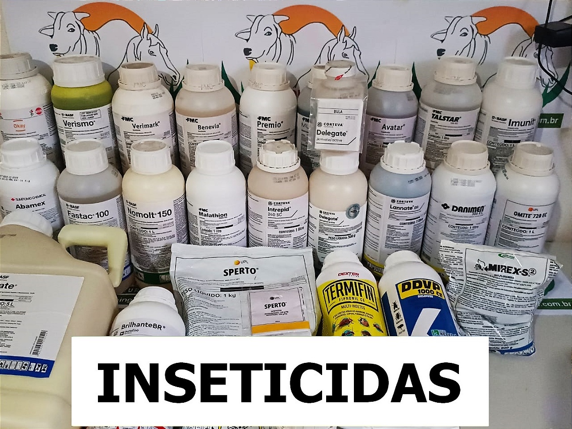 Mini 2 vitrine-mini mobile