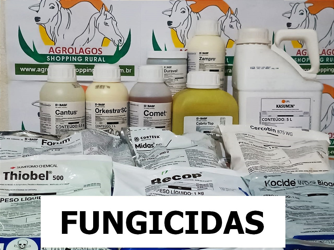 Mini 3 vitrine-mini mobile