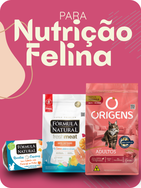 Alimentação Felina vitrine-mini