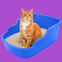 Higiene e Banheiro para Gatos vitrine-mas-vendido