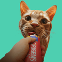 Petiscos para Gatos vitrine-mas-vendido