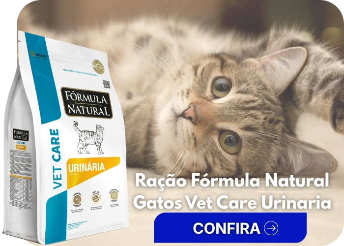 Banner Extra 2 vitrine-lancamento