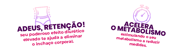 Mini 2 vitrine-mini mobile